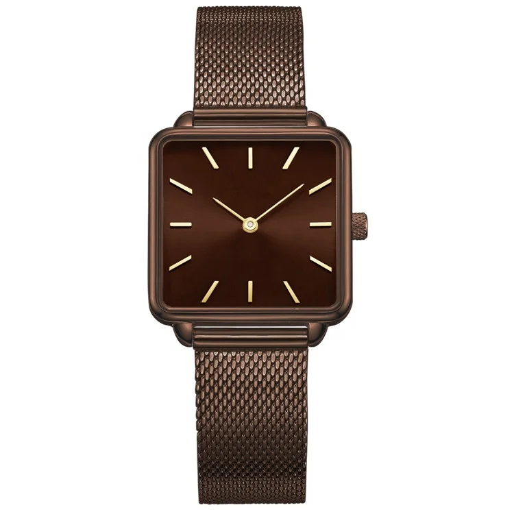 Baulenise Stainless steel Slim Women Wrist Watch Waterproof  Watch For Women