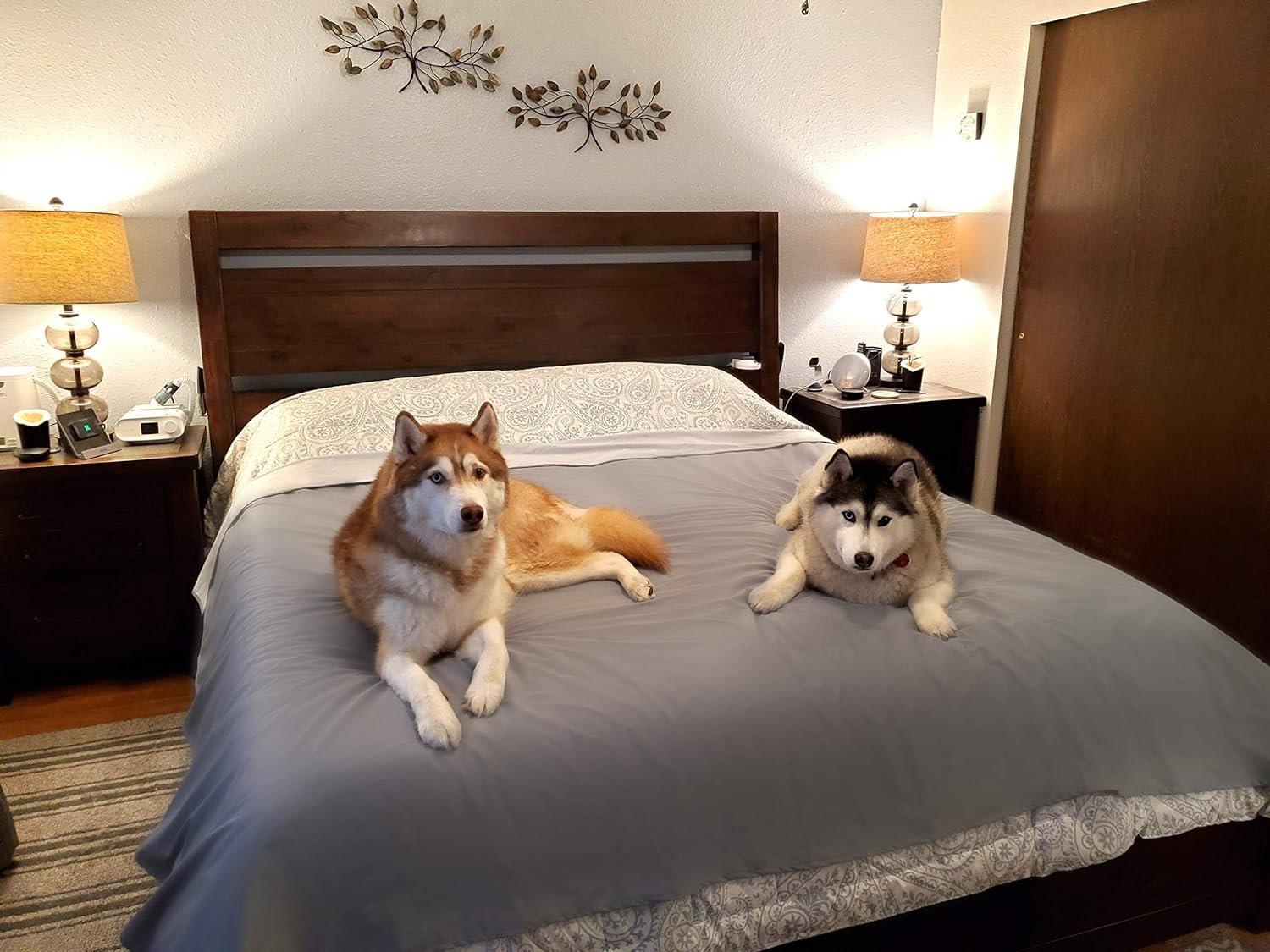 SILLY LEGACY Thin Reversible Waterproof Protective Cover or Liner for Bed or Couch, for Dogs and Cats (King 82 x 100, Gray)